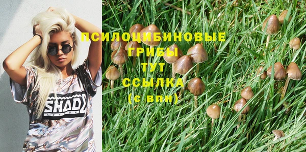 МДПВ Армянск