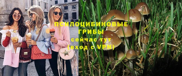 гашик Арсеньев
