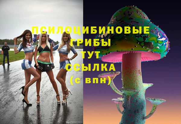 МДПВ Армянск