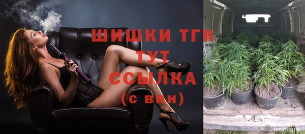 гашик Арсеньев